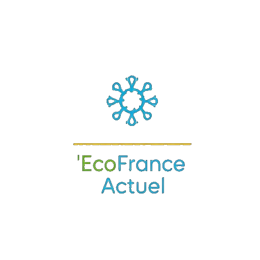 EcoFrance Actuel logo